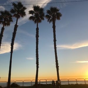 Meet your Posher, Anissa